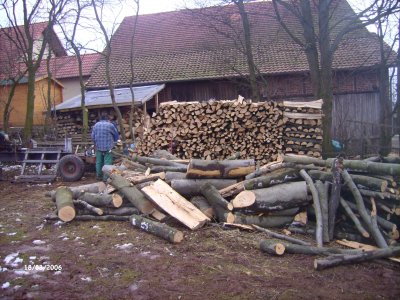Holz-3.jpg