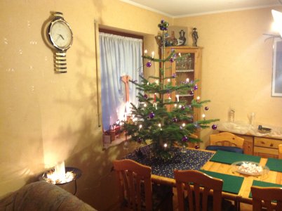 weihnachtsbaum_2012 (2).jpg