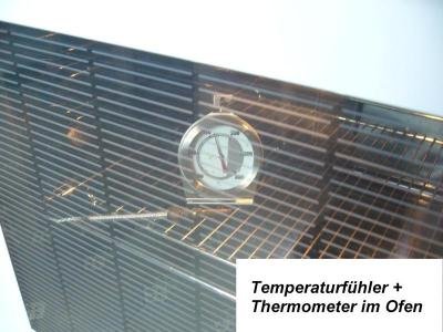 Temperaturfuehler Thermometer.jpg