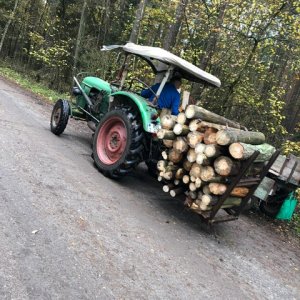 D4005 bei der Holzarbeit