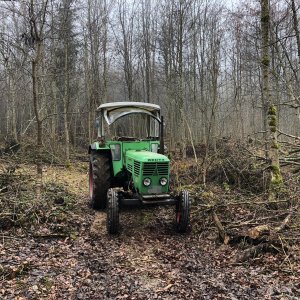 6806: erster Waldeinsatz dieses Jahr